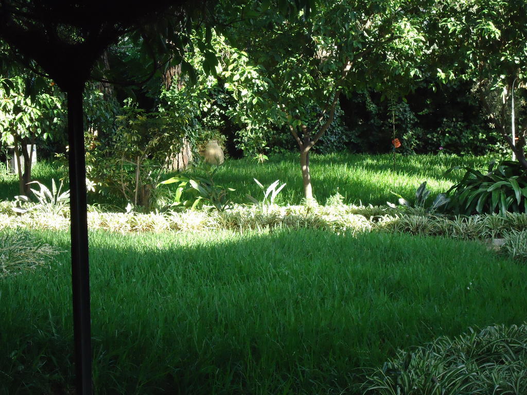 B&B Cottage Dei Consoli Sant'Agata Li Battiati Exteriér fotografie